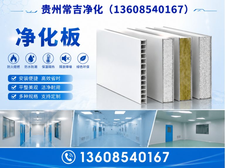 云岩区实验室净化展示图